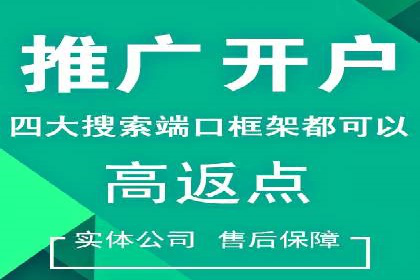 案例解析：竞价代运营如何实现高效广告投放